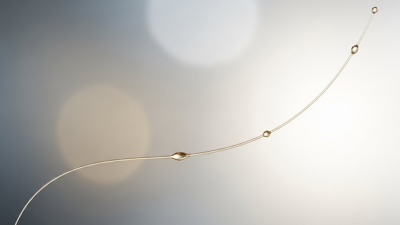 <br />
<b>Warning</b>:  Undefined variable $title in <b>/var/www/html/tag/list.php</b> on line <b>85</b><br />
